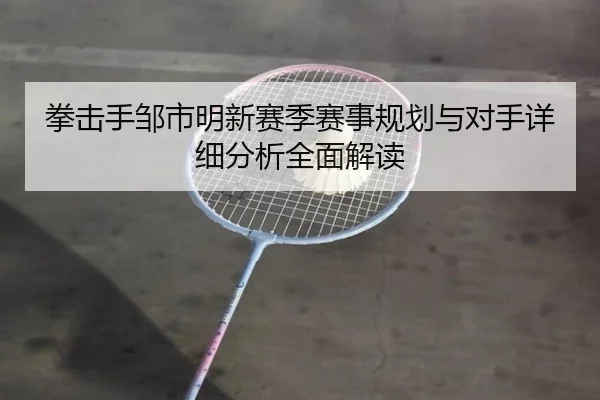 拳击手邹市明新赛季赛事规划与对手详细分析全面解读